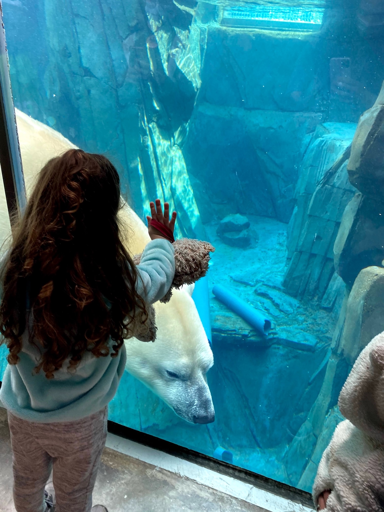 what to do in St. Louis with kids