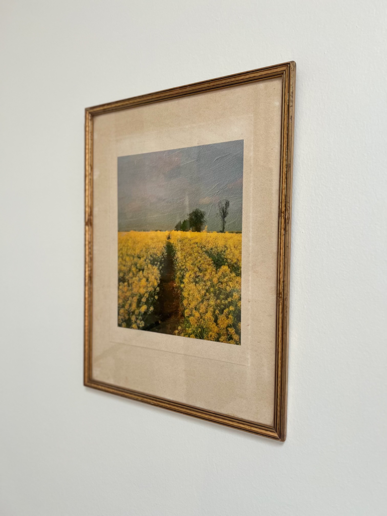 how to decorate for spring on a budget
