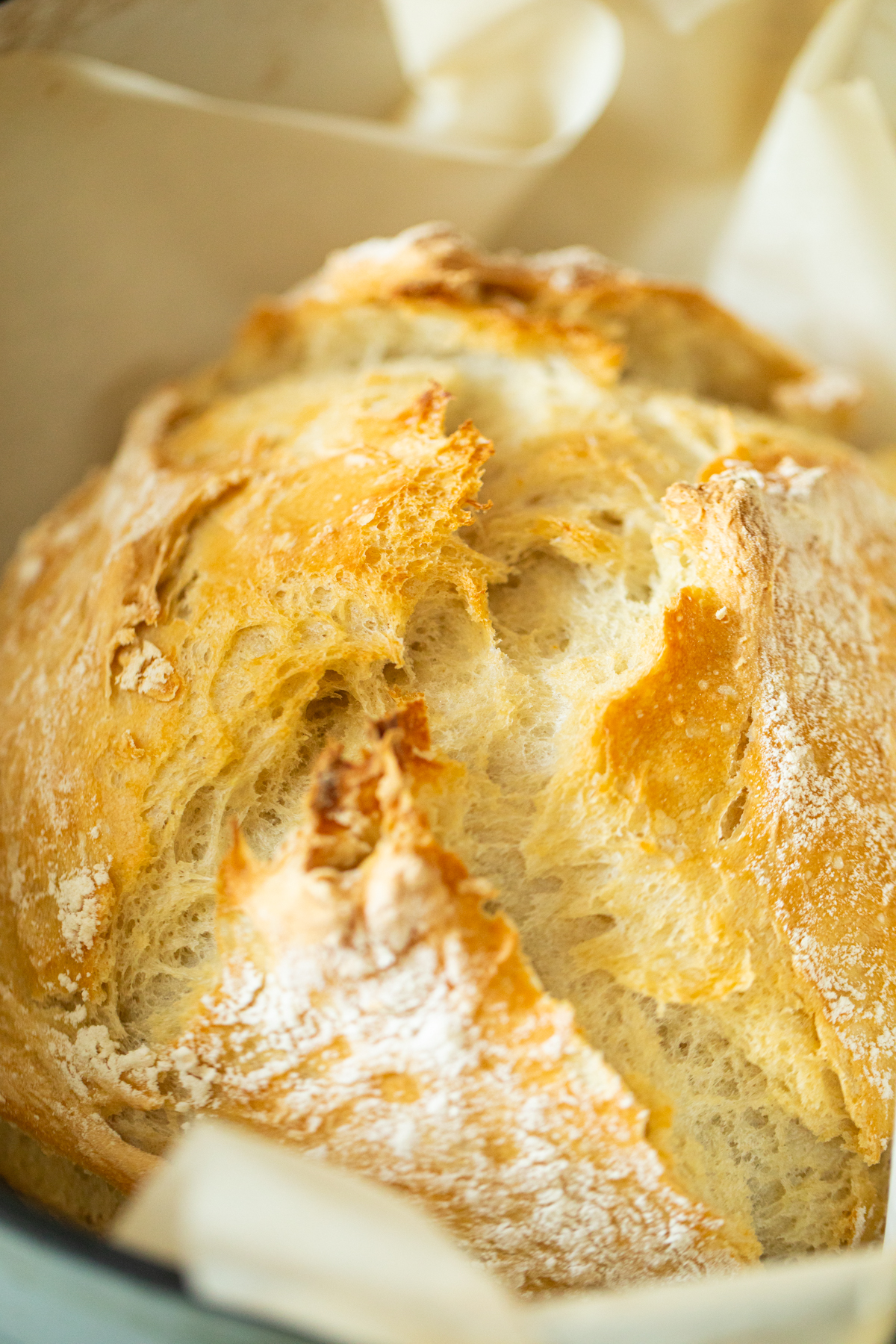 no knead dutch oven bread