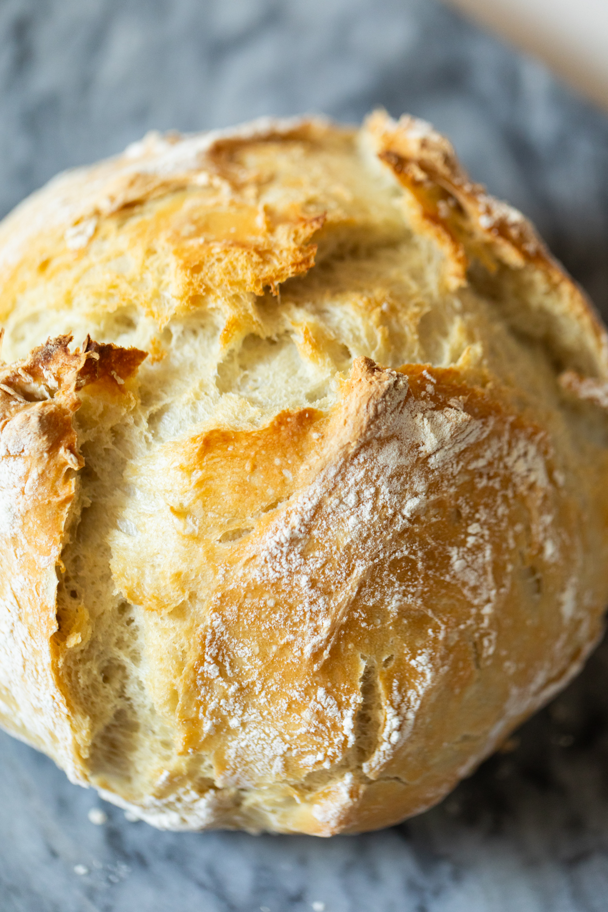 no knead dutch oven bread